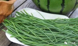 吃瓜网菜网红,揭秘网络美食界的明星风采